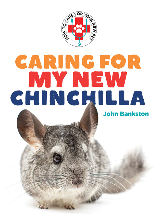 Caring for My New Chinchilla