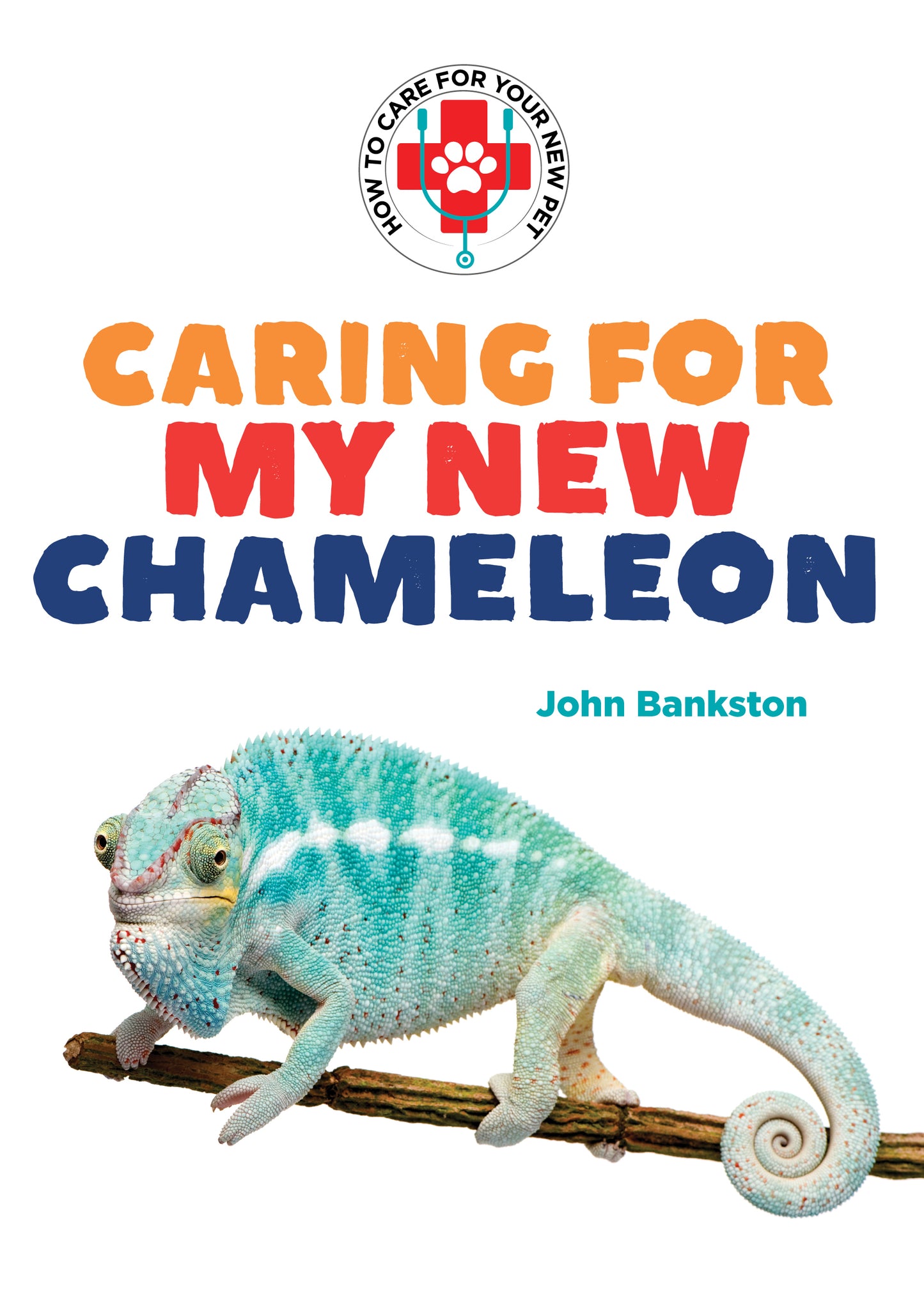 Caring for My New Chameleon