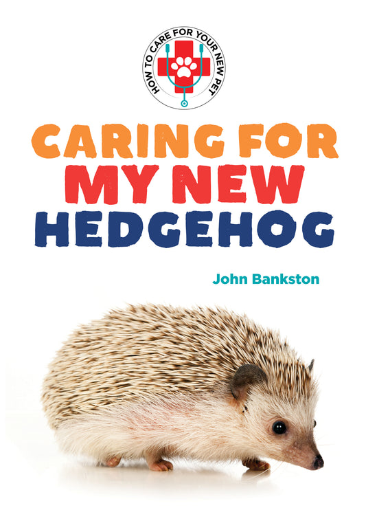 Caring for My New Hedgehog