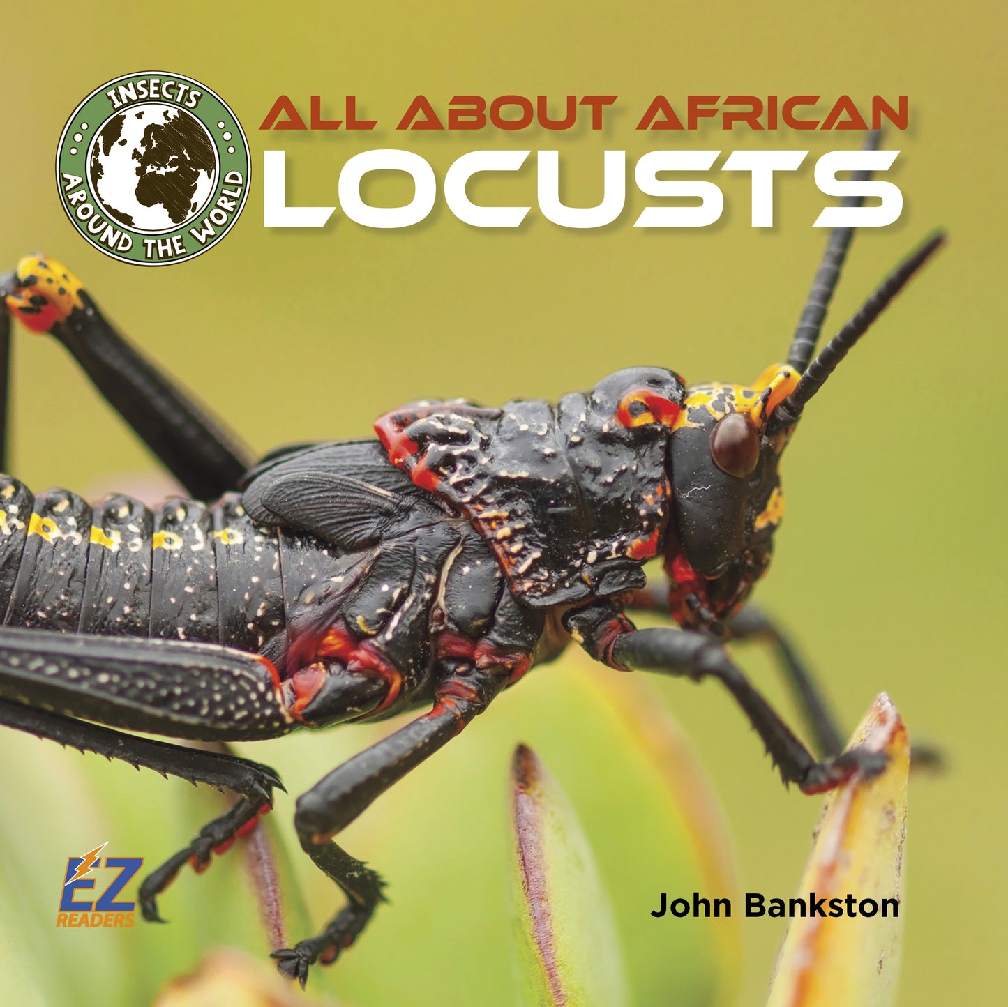 All About African Locusts