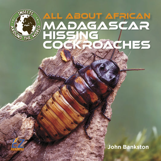 All About African Madagascar Hissing Cockroaches