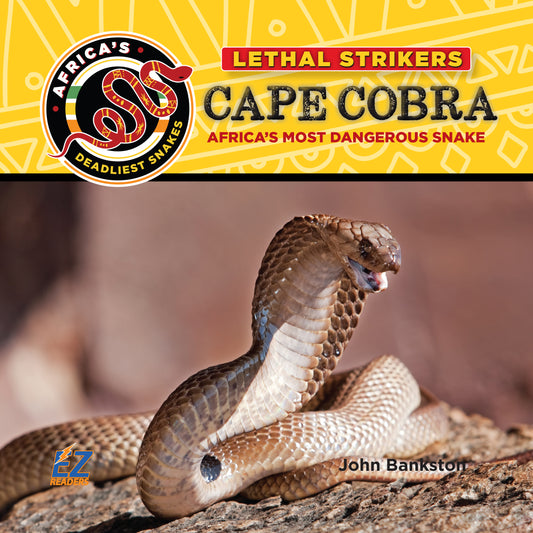 Cape Cobra: Africa's Most Dangerous Snake