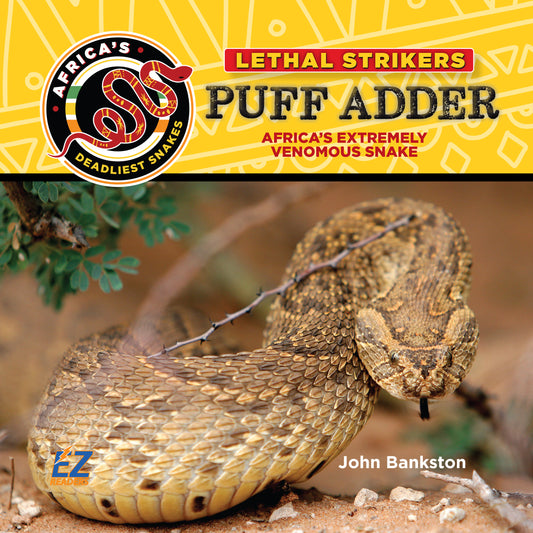 Puff Adder: Africa's Extremely Venomous Snake