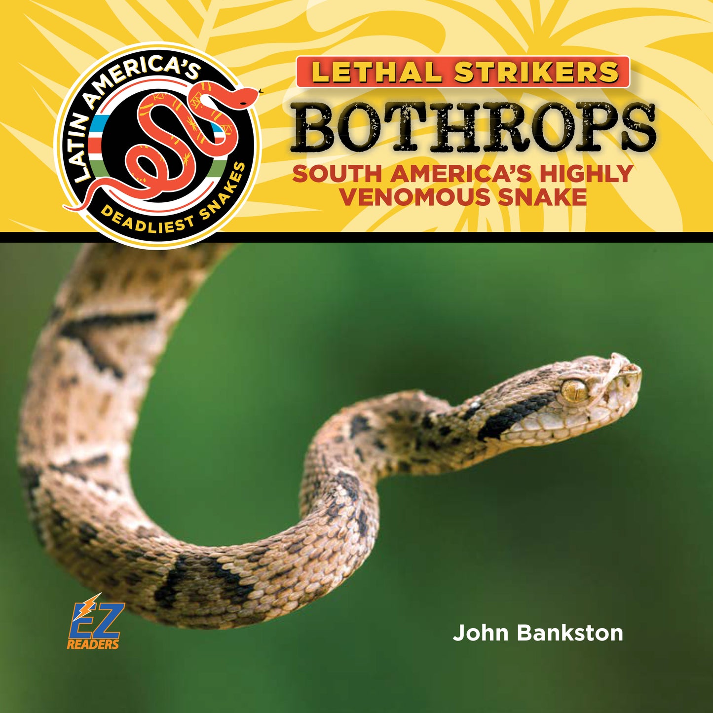 Bothrops: South America's Highly Venomous Snake