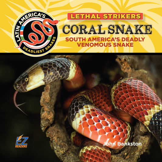 Coral Snake: South America's Deadly Venomous Snake  