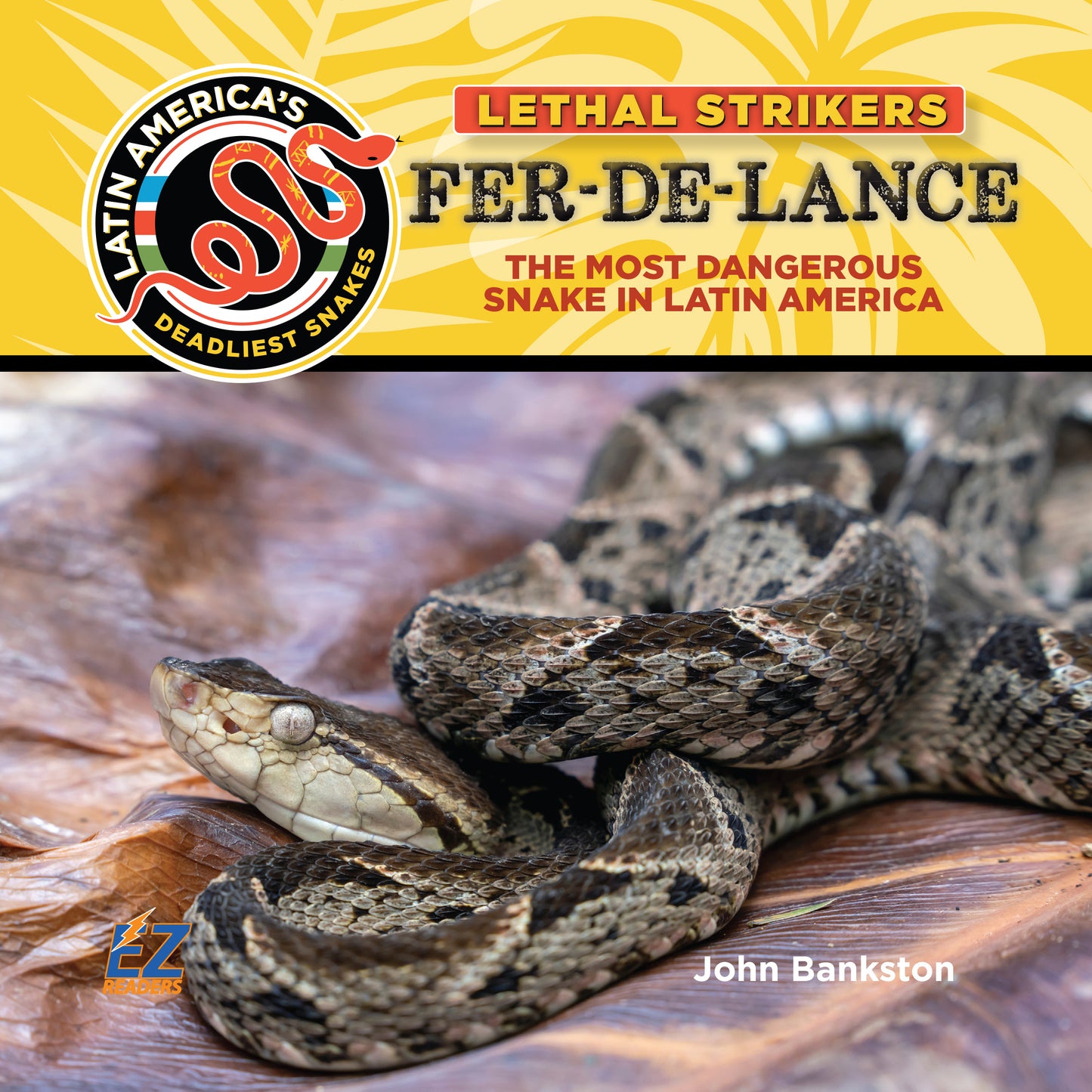 Fer-de-Lance: The Most Dangerous Snake in Latin America 